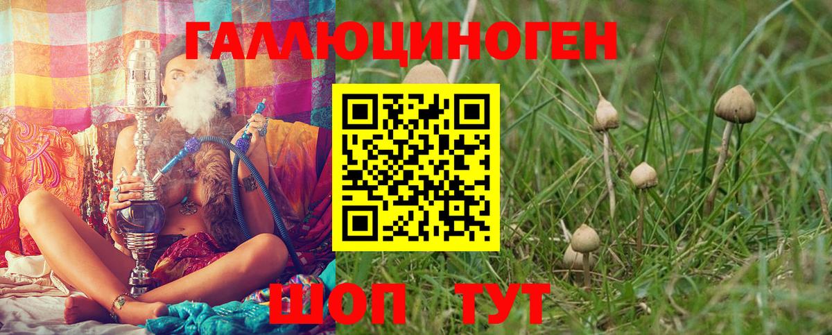 Галлюциногенные грибы прущие грибы Электросталь