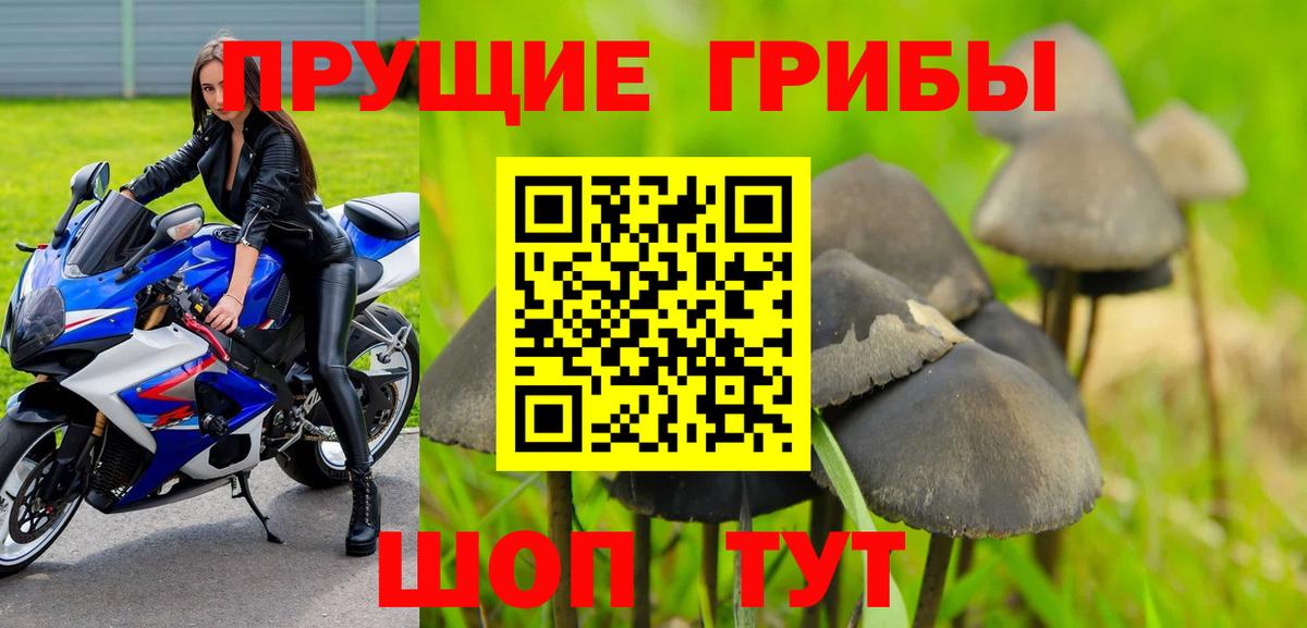 Электросталь  Псилоцибиновые грибы прущие грибы  Вход с VPN  Псилоцибиновые грибы Cubensis 