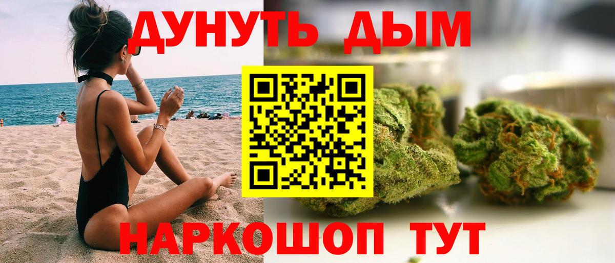 Конопля ГИДРОПОН  Вход с VPN  Электросталь  Каннабис Bruce Banner  Марихуана конопля  Канабис семена 